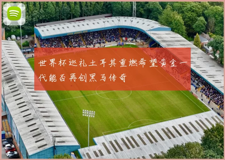 世界杯巡礼土耳其重燃希望黄金一代能否再创黑马传奇
